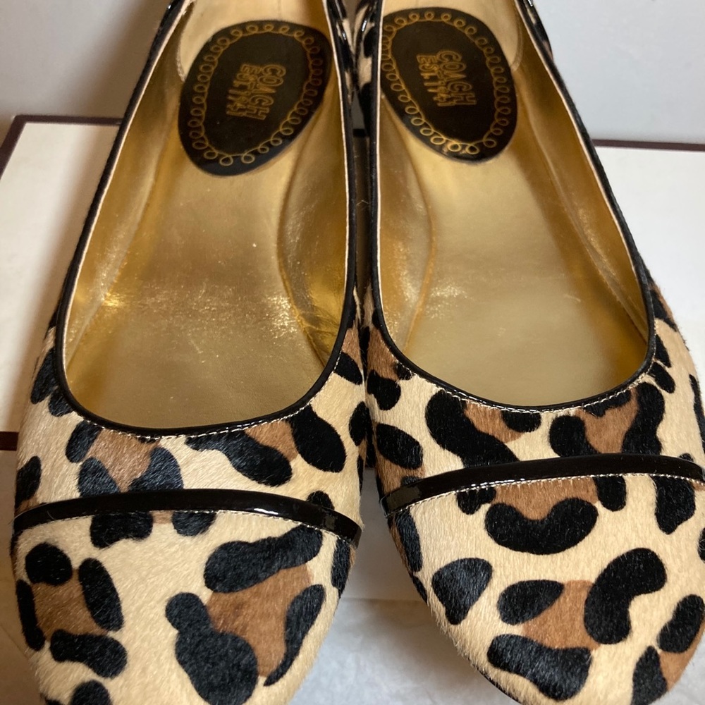 Coach Randy Flats - Picture 2 of 8